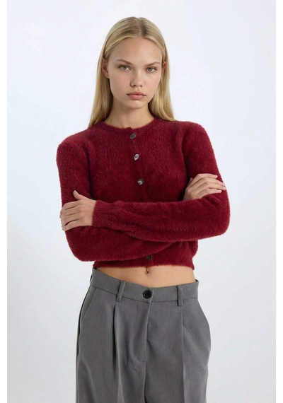 DeFacto Regular Fit Bisiklet Yaka Düğmeli Triko Bordo Hırka E2428AX24WNBR248 Bordo