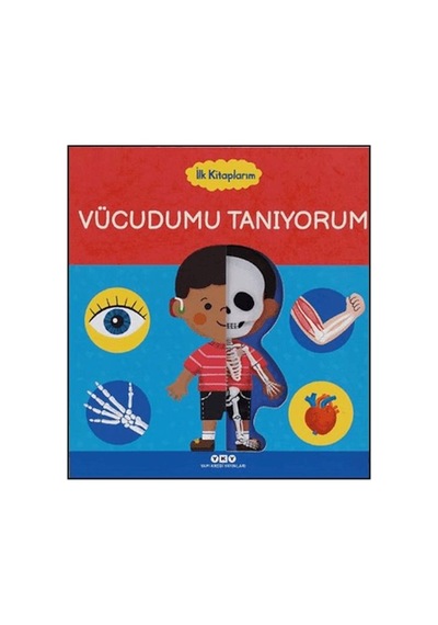İlk Kitaplarım - Vücudumu Tanıyorum - Rjcı-729567