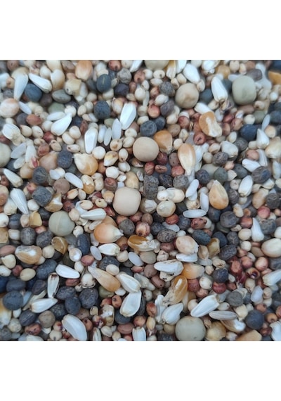 25kg Lüx Güverci̇n Yemi̇ -özel Üreti̇m