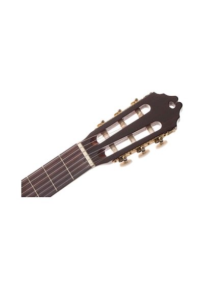 Washburn C64sce Elektro Klasik Gitar Naylon Tel Sahne Preamp Si