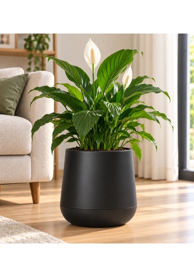 So-atl04 Atlas Dekoratif Plastik Modern Saksı 7 Lt Siyah 3 Adet