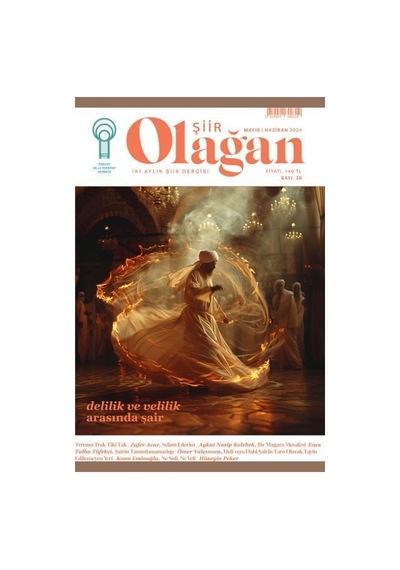 Olağan Şiir 38. Sayı