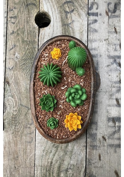 Rufus Concept Saguaro Kaktüs Mum Kalıbı Silikon Çok Renkli
