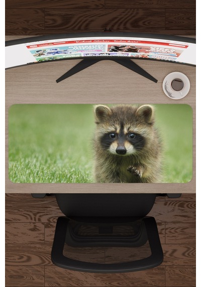Rakun Kaymaz Dikişli Kauçuk Oyuncu Mousepad V2 - 70x30 Xl Gaming Mouse Pad Fare Altlığı