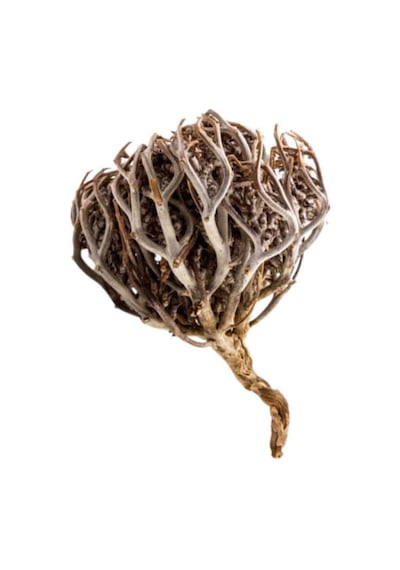 As Baharat Meryem Ana Otu 250 G