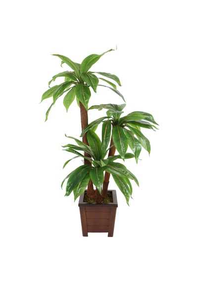 Bodur Yapay Ağaç Cordyline 105 Cm Model 2