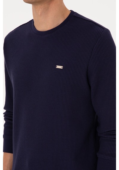 U.S. Polo Assn. Erkek Bisiklet Yaka Regular Fit Petek Dokulu Mürdüm Sweatshirt 50316304-VR074