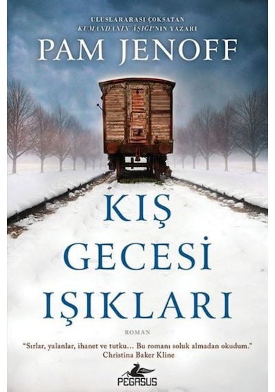 Kış Gecesi Işıkları
