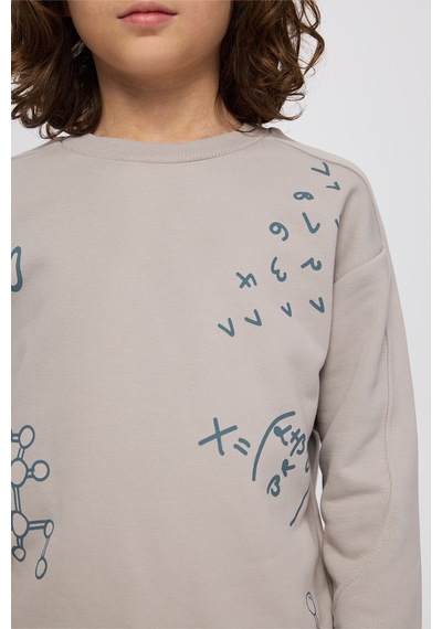 Panço Erkek Çocuk Baskılı Taş Sweatshirt Gri