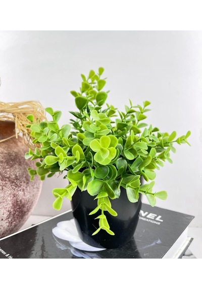 Yapay Çiçek Yeşil Renk Şimşir Siyah Saksıda Siyah Plastik Saksılı