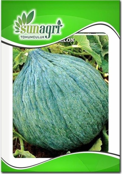 Hasanbey Kavun Tohumu 10 Gr