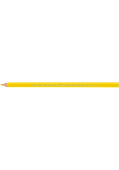 Bıc Kids Evolution Üçgen Jumbo Boya Kalemi 13'lü Metal Tüp, Üçgen Tasarım, Kıymık Oluşturmaz, Çiğnemeye Kar Genel