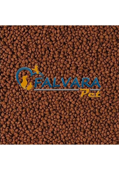 100 Gram Tropical Cichlid Carnivore Medium Pellet Büyük Granül Ba