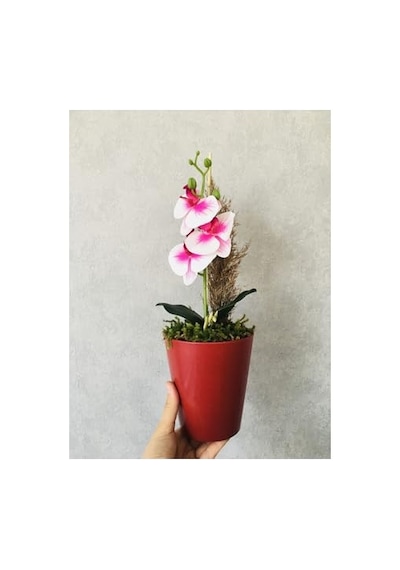 Orkide Yapay Çiçek, 38 Cm, Pembe-beyaz, Saksıda Diğer