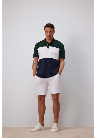 DeFacto %100 Pamuk Regular Fit Polo Yaka Bloklu Kısa Kollu Tişört D7940AX25SPGN245 DeFacto %100 Pamuk Regular Fit Polo Yaka Bloklu Kısa Kollu Tişört D7940AX25SPGN245