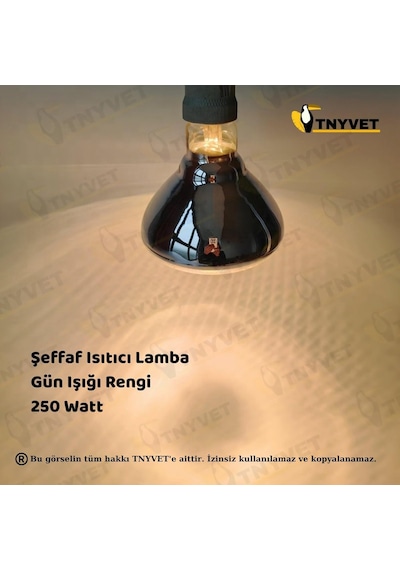 Tnyvet Şeffaf Renk/ınfrared Civciv, Buzağı, Kuzu Isıtıcı Lamba - Ampul 250 Watt