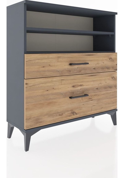 Arges Şifonyer 2 Raflı 2 Çekmeceli 88x30x96 Antrasit-çam Antrasit