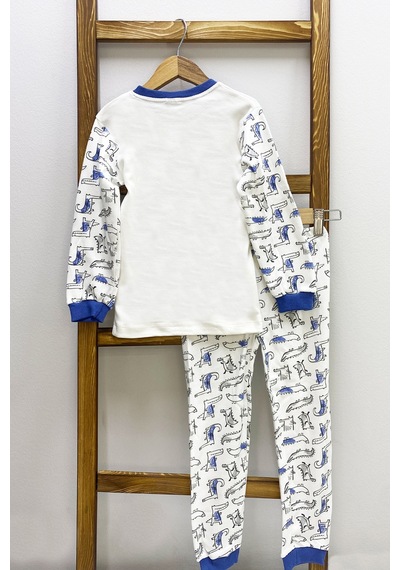 Hçm Erkek Çocuk Pijama Takımı Dinozor Baskılı Bisiklet Yaka C65 Mavı