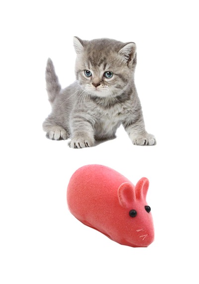 Kedi Eğitim Oyun Faresi Sesli 2 Adet Kedi Egzersiz Oyuncağı