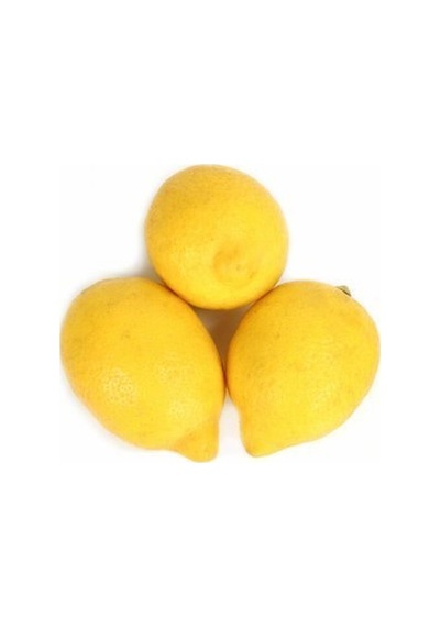 Tüplü Aşılı Lamas Limon 2 Yaş Boy 90-110 Cm N11.182