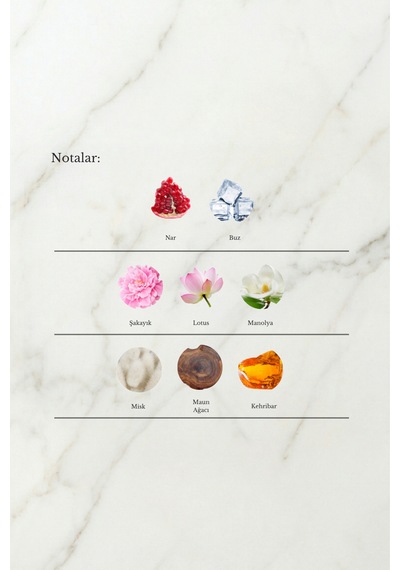 Aristokrates Bright Crystal Kadın Parfüm EDP 50 ML