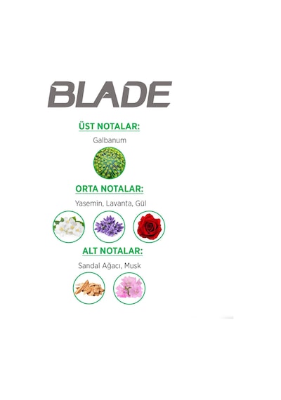 Blade Green Dream Erkek Parfüm EDT 70 ML