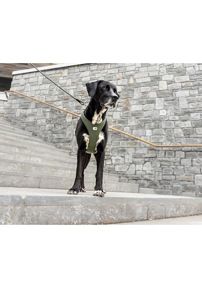 Belka Harness Air-mesh Light-tan 2xl Genel