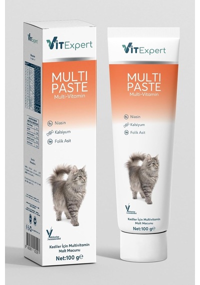 Multi Paste Tüm Kediler Için Multi Vitamin Bağışıklık Ve Tüy Sağlığı Tamamlayıcı Malt Macun 100 Gr