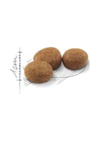Royal Canin Kısır Kedi Maması 15 Kg