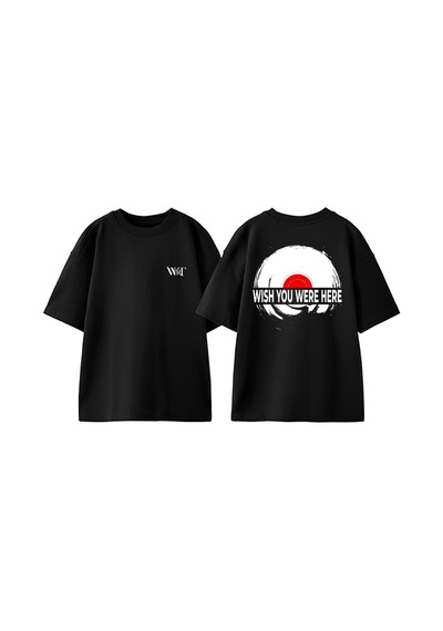 Thewert Pınk Floyd Plak Tasarım Sırt Baskılı Pamuk Siyah Oversize T-shirt