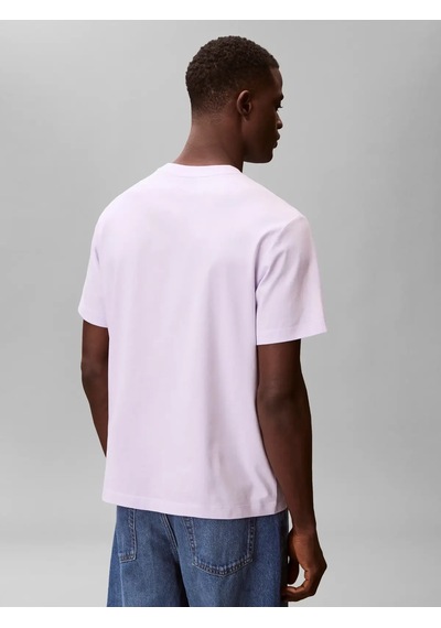 Calvin Klein 20s Eu Wholesale Spo, 3oq, S Mor Erkek T-shirt