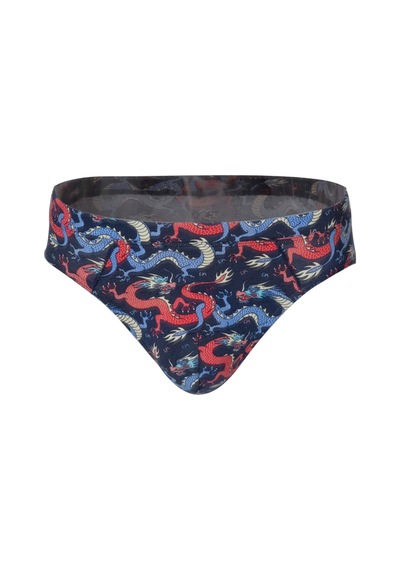 Doreanse Erkek Renkli Ejderha Desenli Slip 1427-Dragon 2024 Çok Renkli