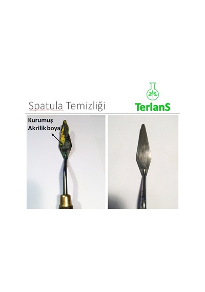 Terlans Sanatsal Boya ve Fırça Temizleyici 250 Ml Brush Cleaner