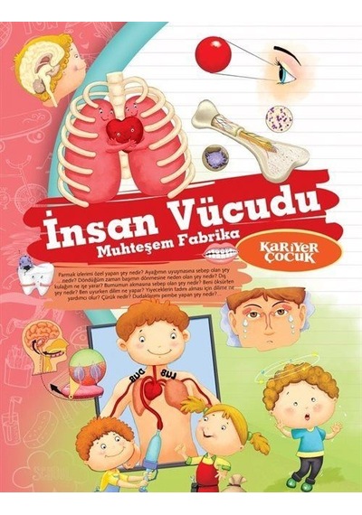 İnsan Vücudu Muhteşem Fabrika / Ne Nedir