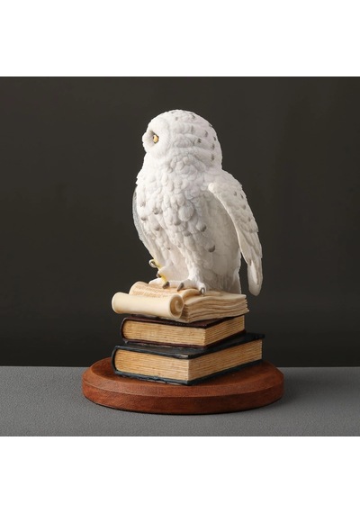 Kitap Üzerinde Beyaz Kar Baykuşu Hedwig Biblosu