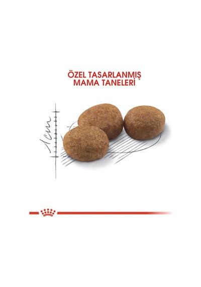Sterilised Kısır Kedi Maması 2kg