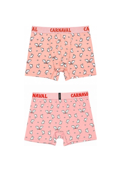 Carnaval Socks Tavşan Desenli Erkek Boxer Pamuklu Likralı Parlak Lastikli Kutulu Pudra Çoklu