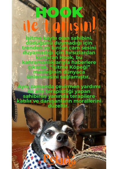 Petjoo 7.Hook Turuncu-Yeşil Qr'lı Köpek Künyesi