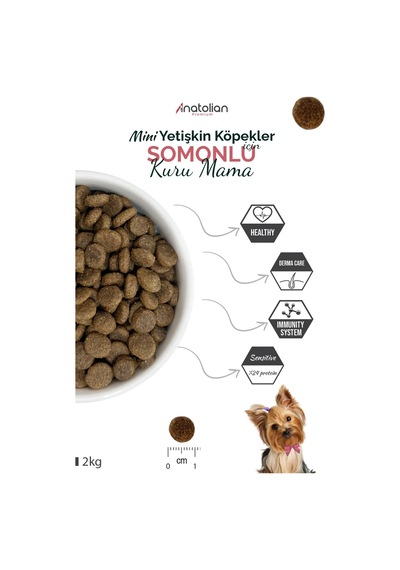 Anatolian Premium Somonlu Küçük Irk Yetişkin Köpek Maması 2 x 2 KG