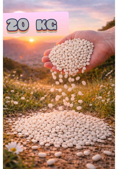 Kuru Fasulye Net 20 Kg Katkısız Doğal