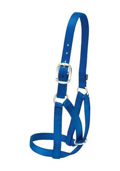 Livestock Cow Barn Halter, Mavi, Medium