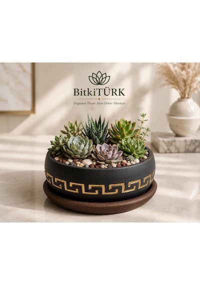 Dekoratif Desenli Beton Bonsai Saksısı Ve Altlık Seti 18 Cm Sukulent Ve İç Mekân Bitkileri İçin El Yapımı Saksı -