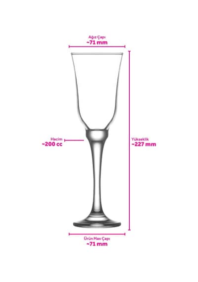 Lav Resital Cam Şampanya Kadehi 6'lı 200 ml Ayaklı (Kahve Yanı Su/Kokteyl Bardağı)