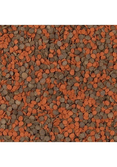Tropical Cichlid Chips 250 Gram Açık
