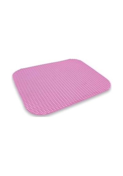 40x50 Cm Kedi Tuvalet Kabı Paspası, Kum Toplayıcı 2li