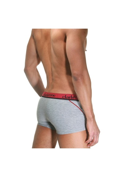 Darkzone Gri Erkek Boxer - Dzn3103