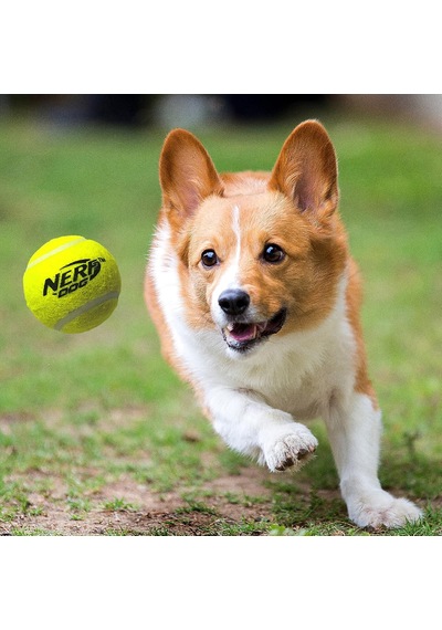 Tenis Topu Blaster Köpek Oyuncak