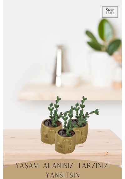 Dekoratif Saksı Minik Kaktüs Saksısı 1 Adet Kaktüs Desenli Model - Altın