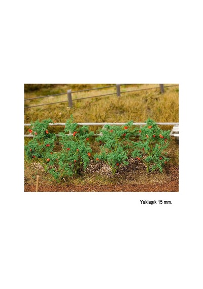 Faller 181259 Domates Fideleri, 18 Adet-54496