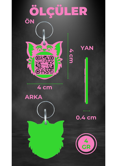 Petjoo 2.Nyan Cat Yeşil-Pembe Qr'lı Kedi Künyesi